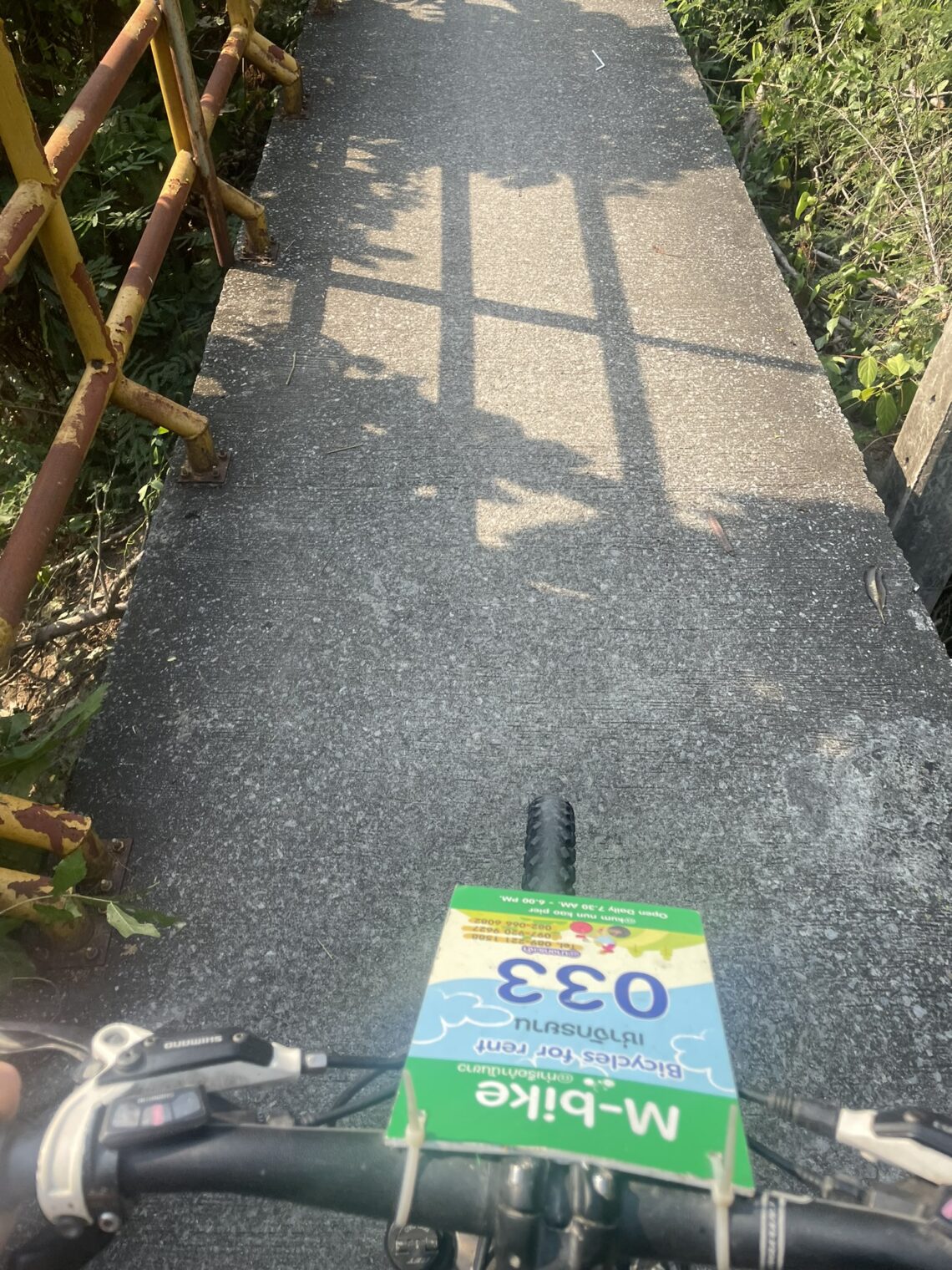 Biking in Bangkachao