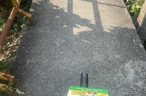 Biking in Bangkachao